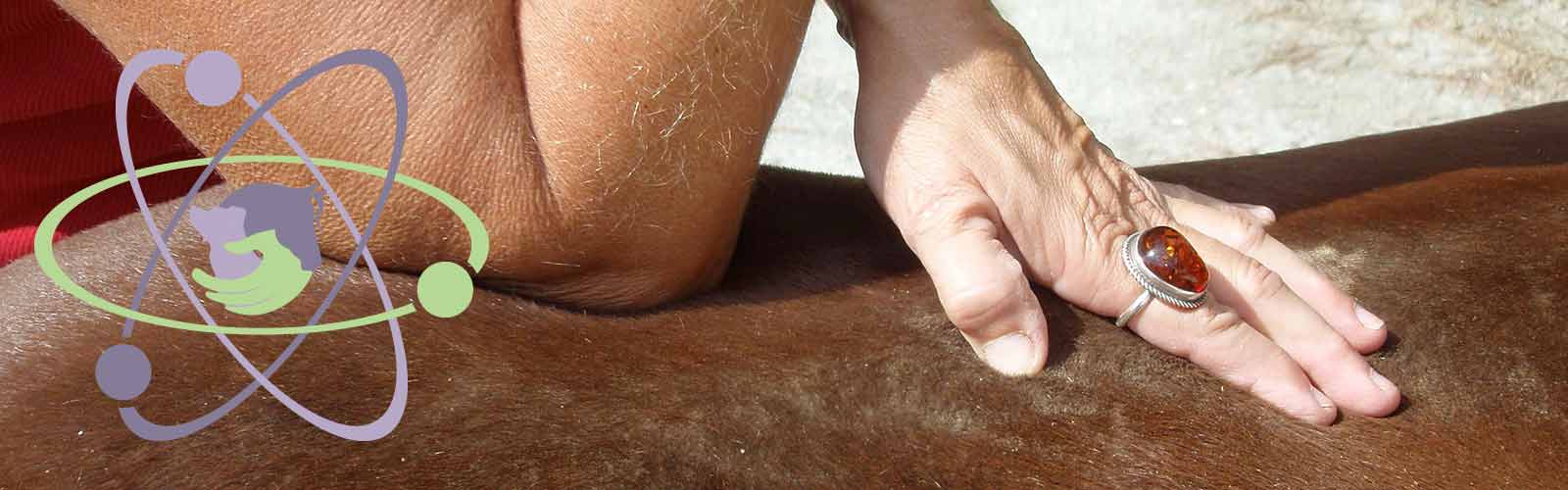 Holistic therapy for horses